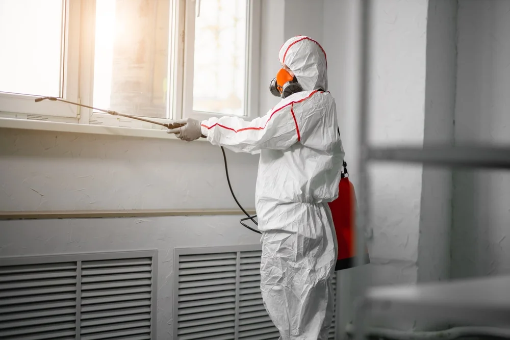 Professional mold remediation services in Mount Dora, FL